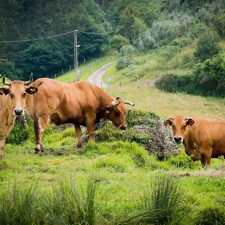 Hotel Tejera Del Nalon