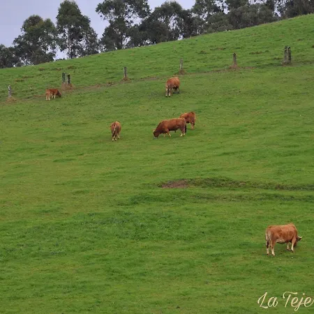 Hotel Tejera Del Nalon 2*