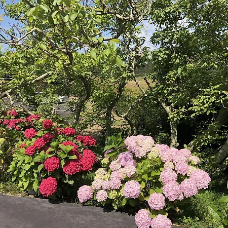 Tejera Del Nalon Hotel Soto Del Barco